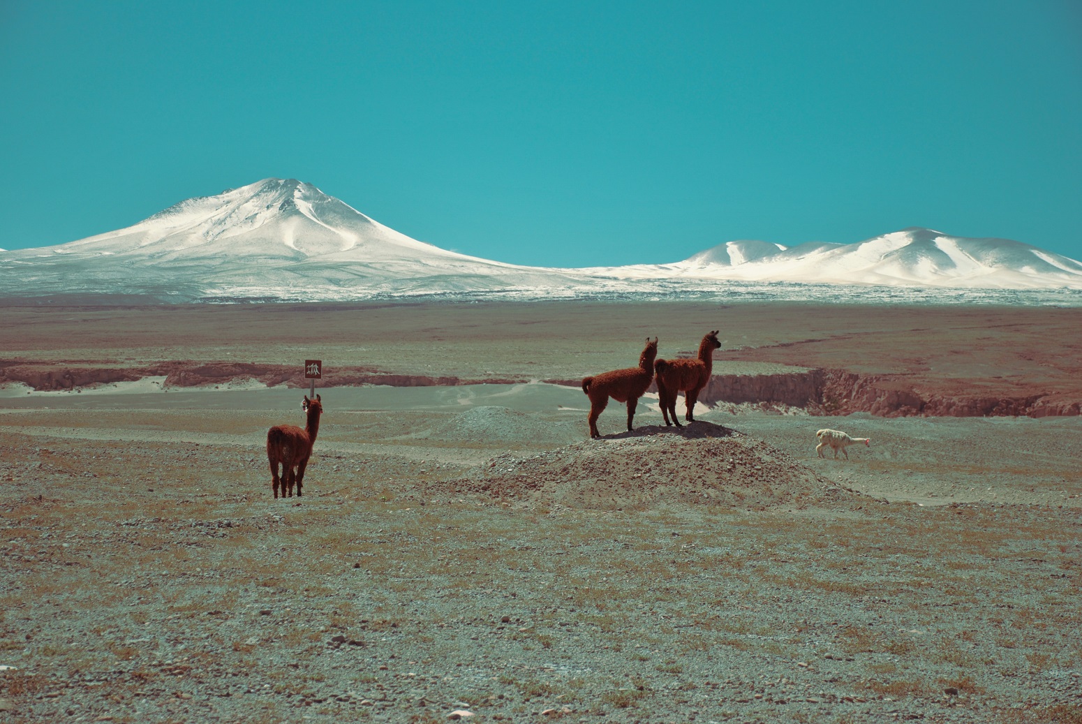 chile destino espectacular